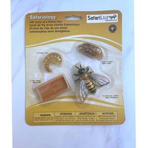 Safari Ltd Life Cycle Of A Honey Bee 4pc Figures Set NWT Brand New Unopened